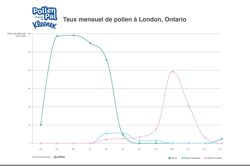 Pollen count by Pollen Category London