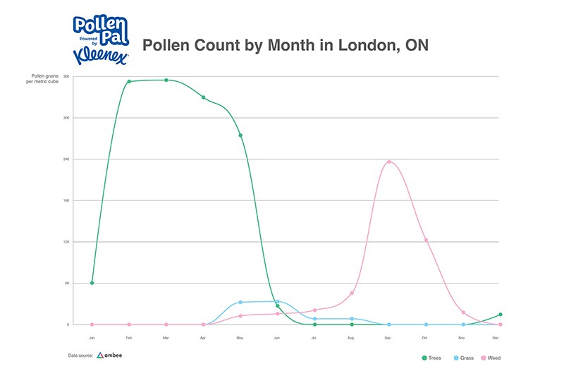 Pollen Count by Month London