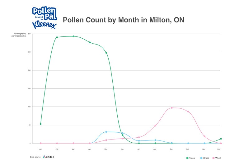 Pollen Count by Month Milton