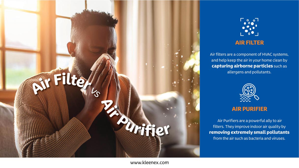 Air Filter vs. Air Purifier Infographic