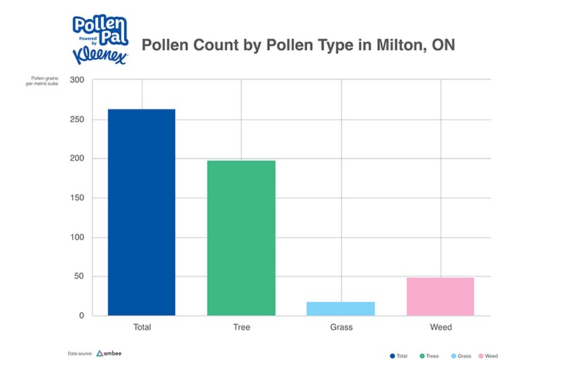 Pollen count by Pollen Category Milton